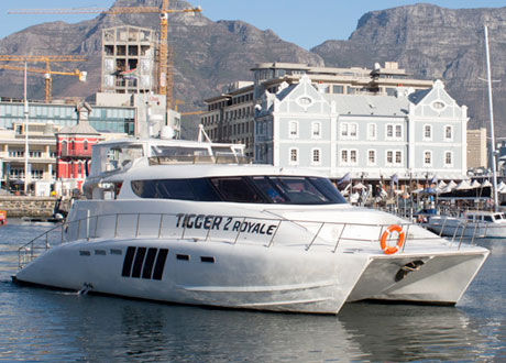3 Hour - Tigger2 Power Catamaran
