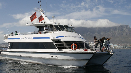 Sea Princess Catamaran