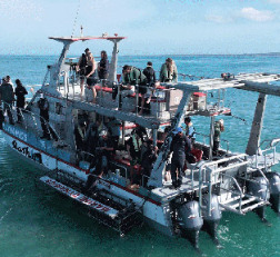 Shark Cage Diving Gaansbaai