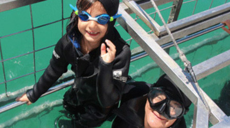 Shark Cage Diving Gaansbaai