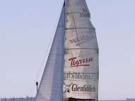 Tigresse Catamaran  